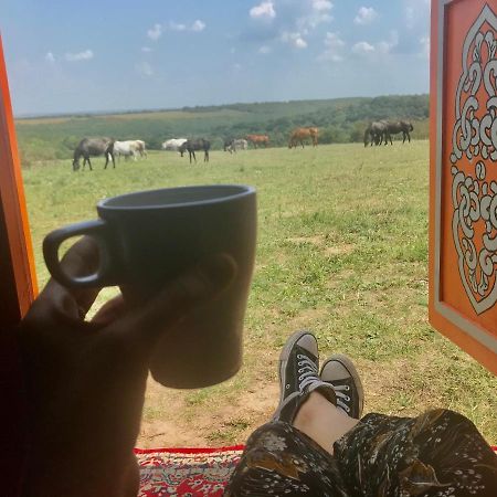 Dharma Horse Shelter Bungalows & Farmping شيوفوك المظهر الخارجي الصورة
