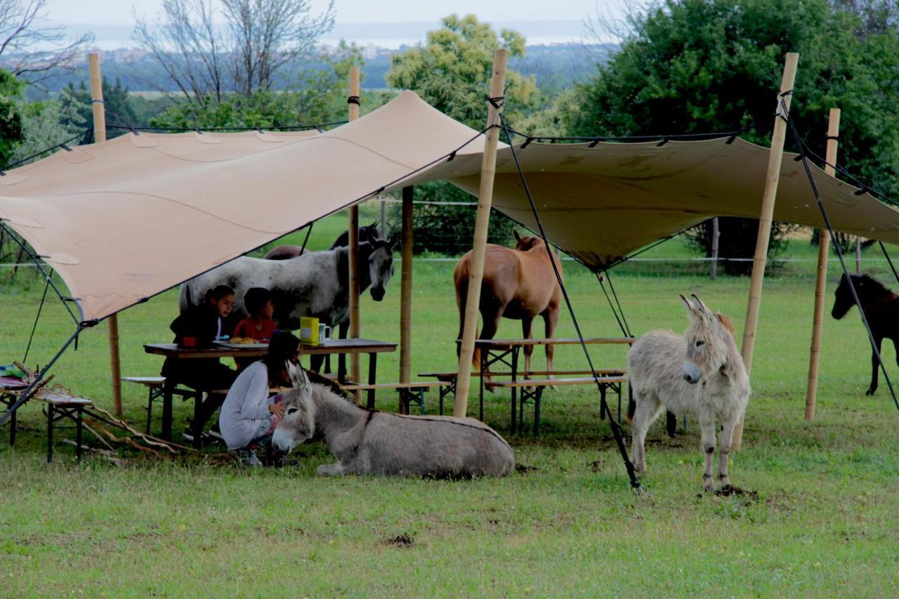 Dharma Horse Shelter Bungalows & Farmping شيوفوك المظهر الخارجي الصورة